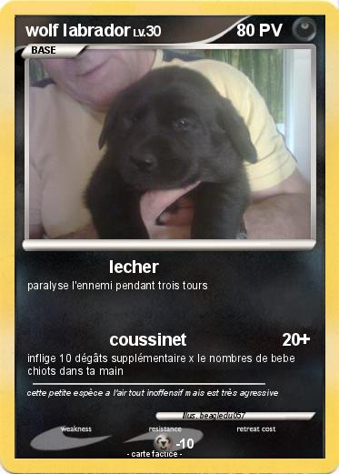 Pokemon wolf labrador