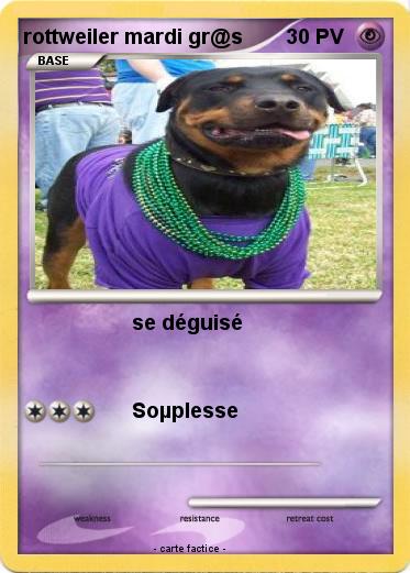 Pokemon rottweiler mardi gr@s