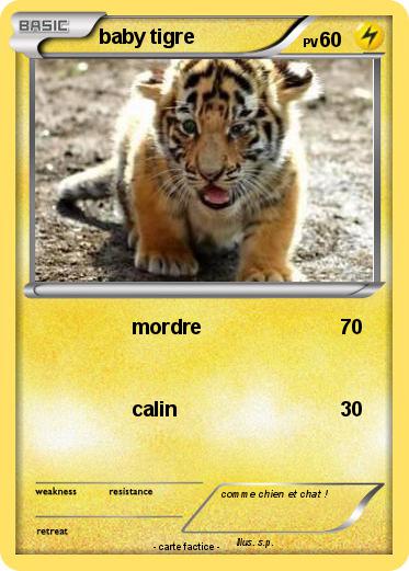 Pokemon baby tigre