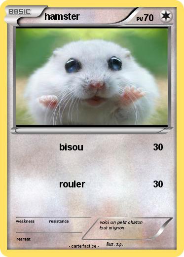 Pokemon hamster