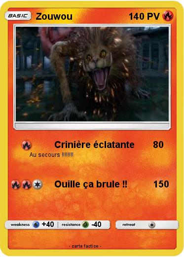 Pokemon Zouwou