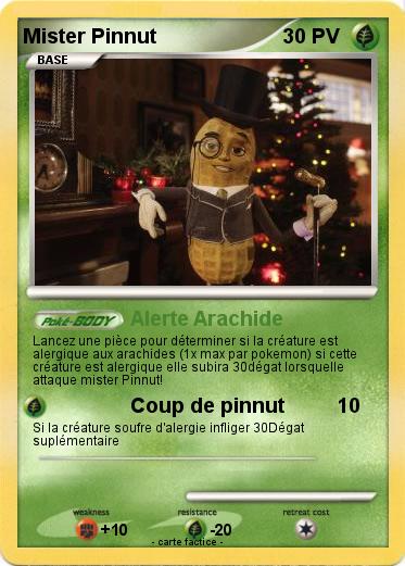 Pokemon Mister Pinnut