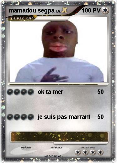 Pokemon mamadou segpa