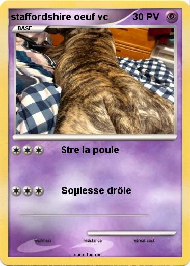 Pokemon staffordshire oeuf vc