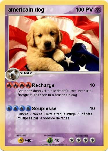 Pokemon americain dog