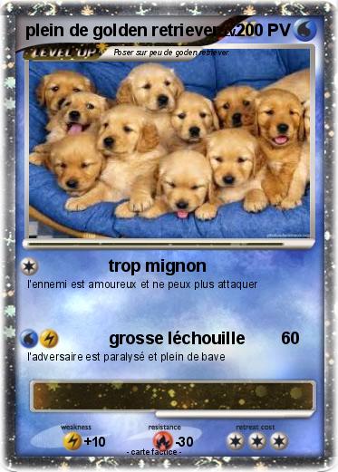Pokemon plein de golden retriever