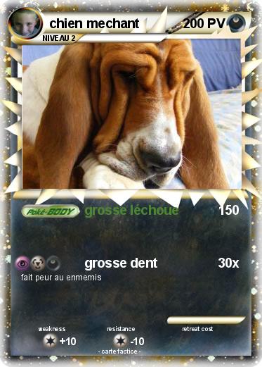 Pokemon chien mechant