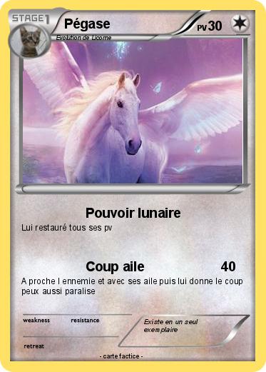 Pokemon Pégase