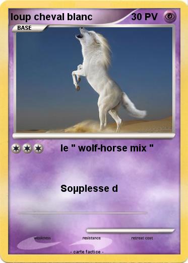 Pokemon loup cheval blanc