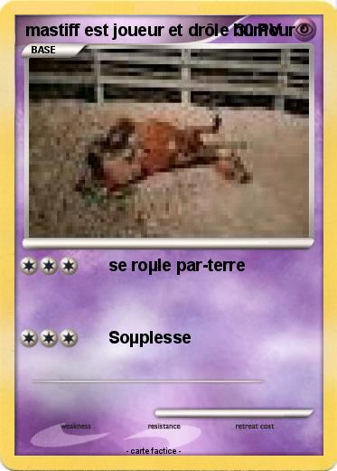 Pokemon mastiff est joueur et drôle humour