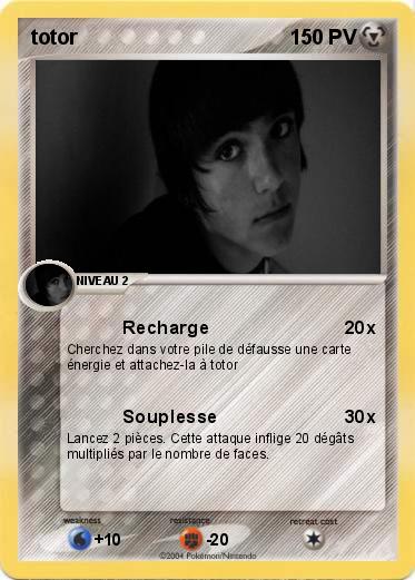 Pokemon totor