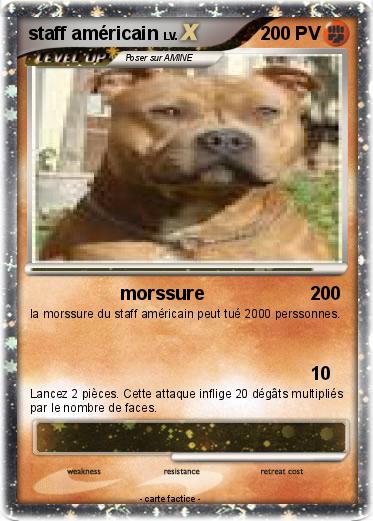 Pokemon staff américain