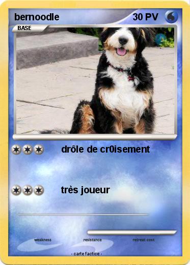 Pokemon bernoodle