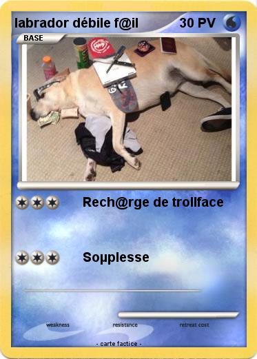 Pokemon labrador débile f@il