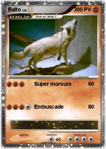 Pokemon Balto