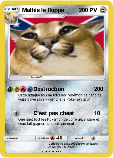 Pokemon Mathis le floppa