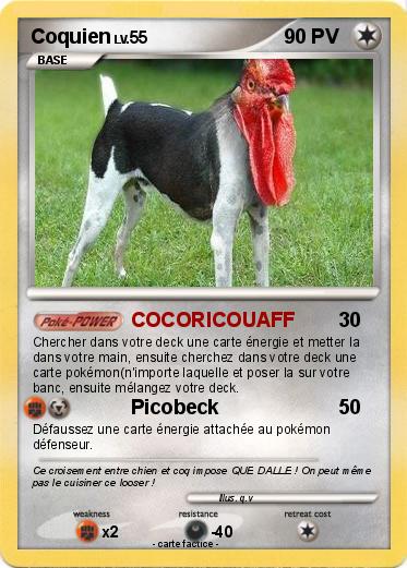 Pokemon Coquien