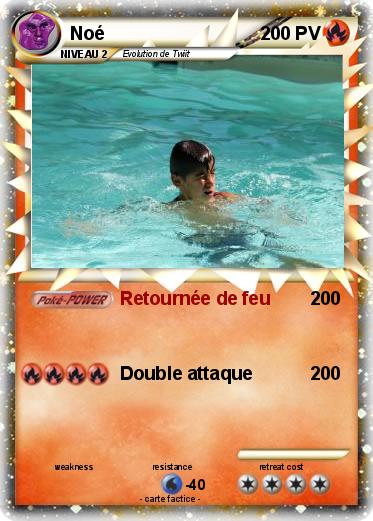 Pokemon Noé