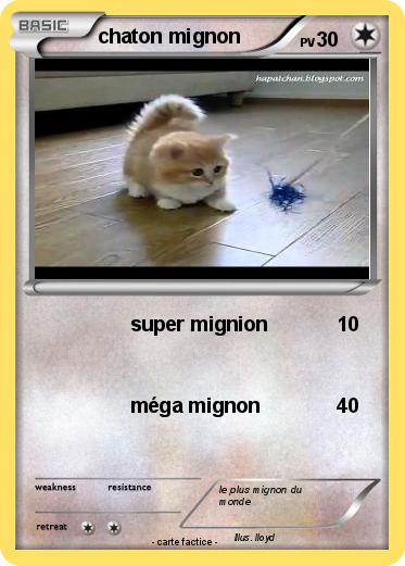 Pokemon chaton mignon