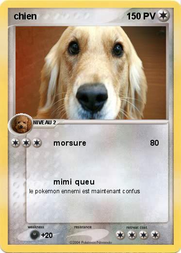 Pokemon chien