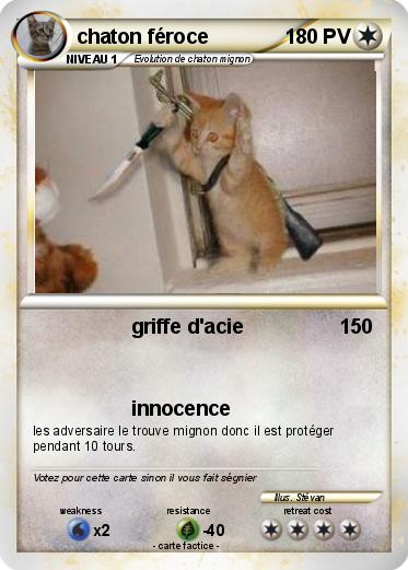 Pokemon chaton féroce