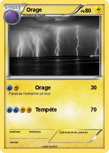 Pokemon Orage