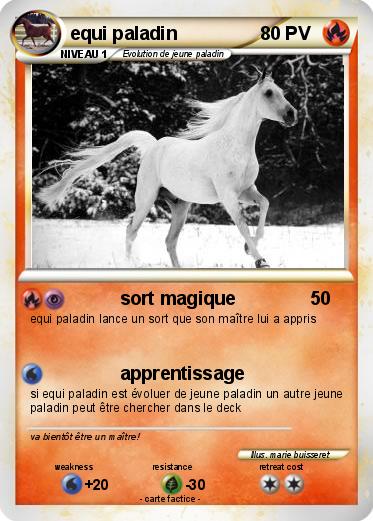 Pokemon equi paladin
