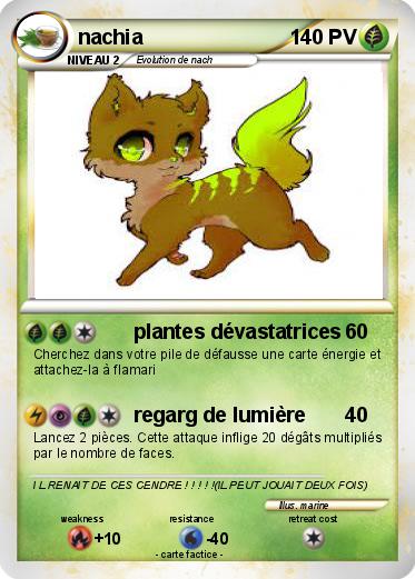Pokemon nachia