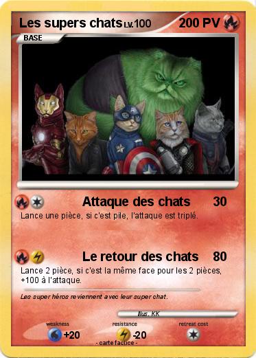 Pokemon Les supers chats