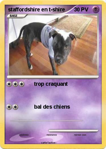 Pokemon staffordshire en t-shire