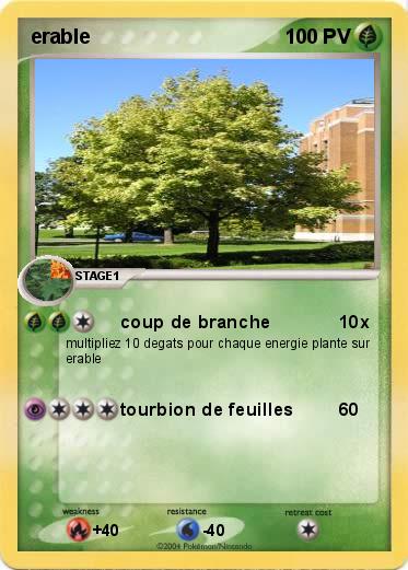 Pokemon erable