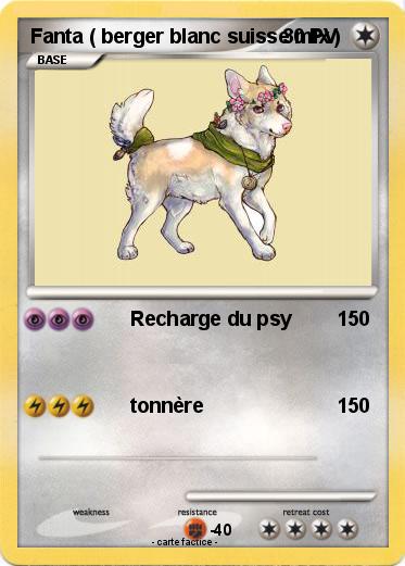 Pokemon Fanta ( berger blanc suisse mix )