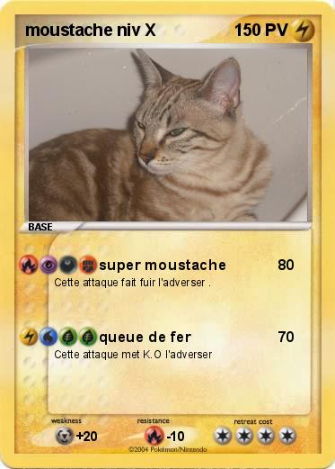 Pokemon moustache niv X