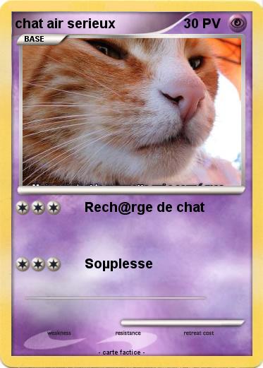 Pokemon chat air serieux