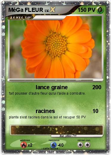 Pokemon MéGa FLEUR