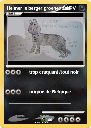 Pokemon Heimer le berger groenendael