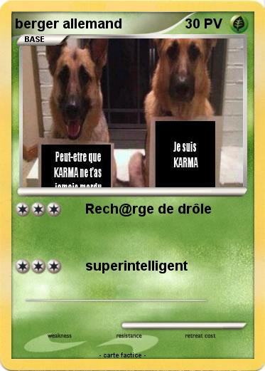 Pokemon berger allemand