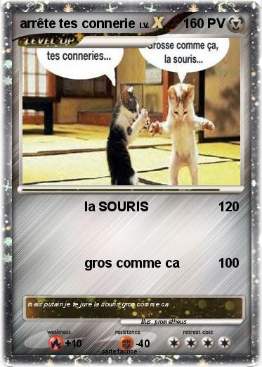 Pokemon arrête tes connerie