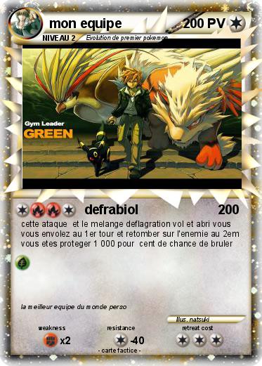 Pokemon mon equipe