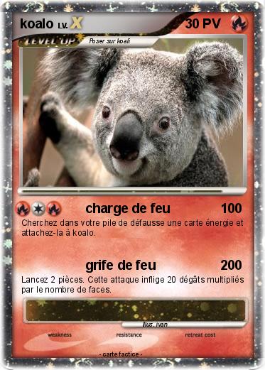 Pokemon koalo