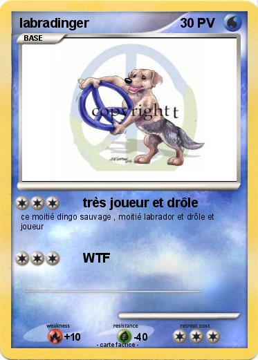 Pokemon labradinger