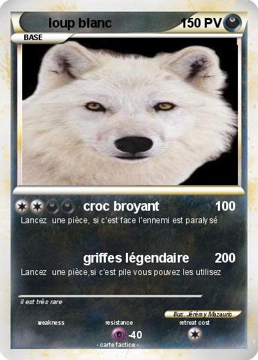 Pokemon loup blanc