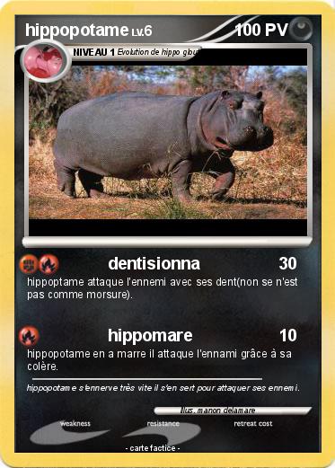 Pokemon hippopotame