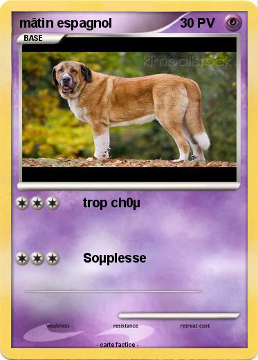 Pokemon mâtin espagnol