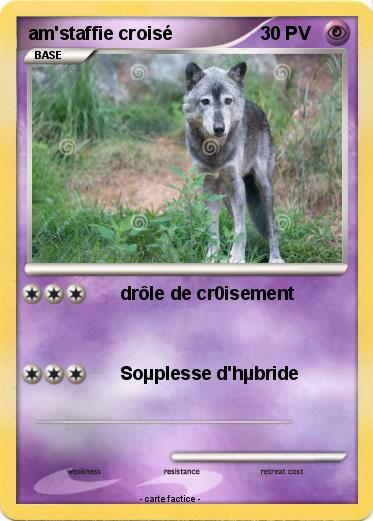 Pokemon am'staffie croisé