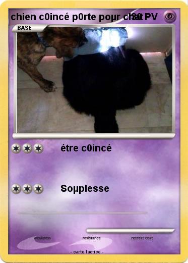 Pokemon chien c0incé p0rte poµr chat