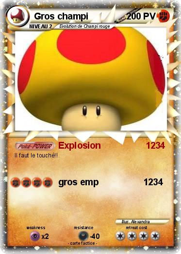 Pokemon Gros champi
