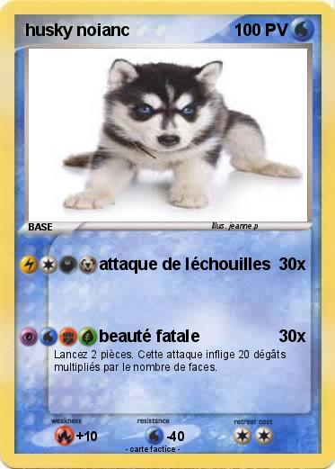 Pokemon husky noianc