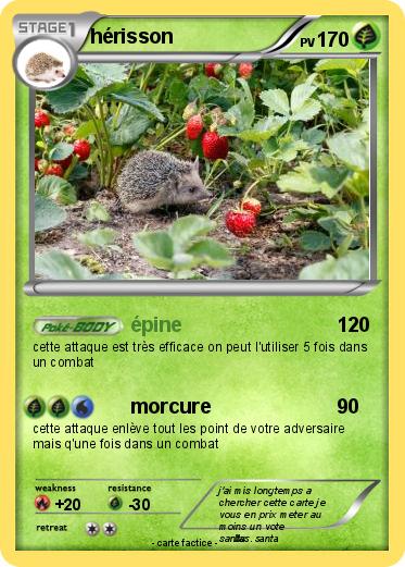 Pokemon hérisson