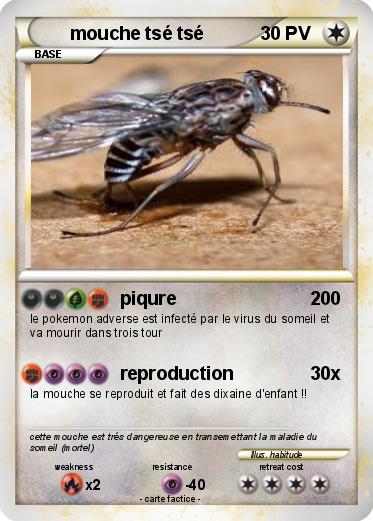 Pokemon mouche tsé tsé